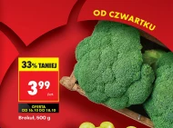 Brokuł