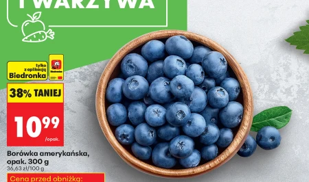 Borówka amerykańska Biedronka
