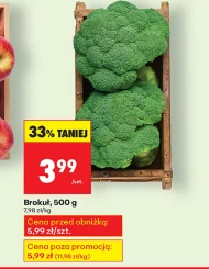 Brokuł