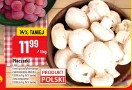 Гриби