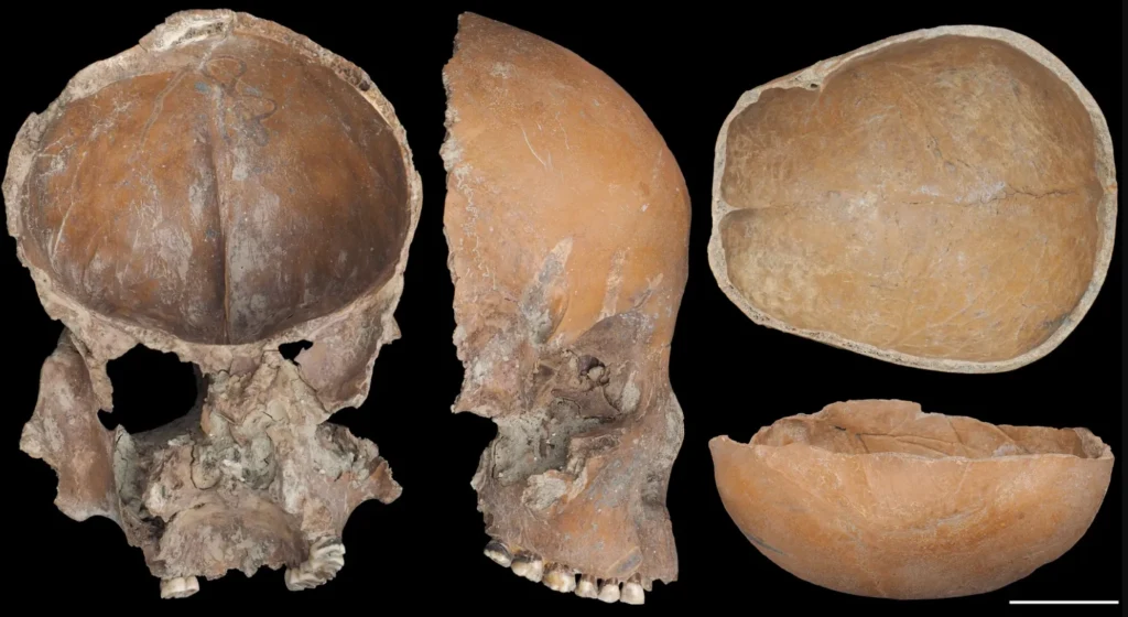 Czaszki, które przemówiły po 5 tysiącach lat. Tajemnica duchowego życia kultury Liangzhu