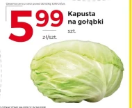 Kapusta