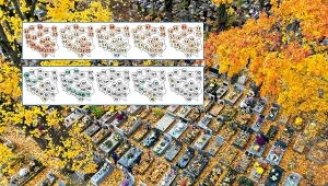 Pogoda 1 listopada nie zmieści się w normie. Chodzi nie tylko o temperaturę