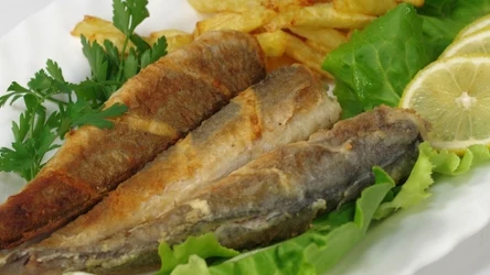 Ryby dostarczają białka, witamin i minerałów 