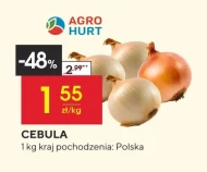 Cebula Agro Hurt