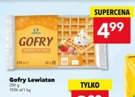 Gofry Lewiatan