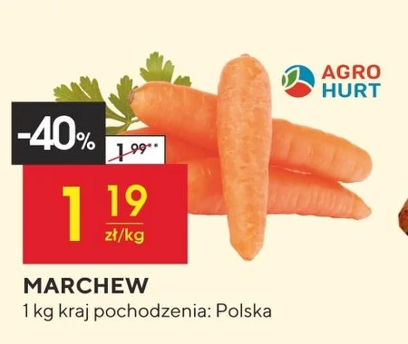 Marchew Agro Hurt
