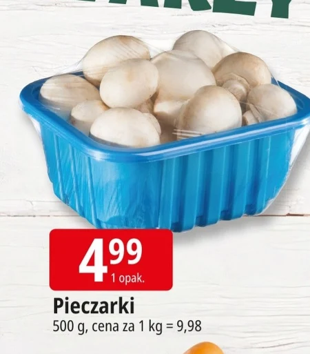 Гриби