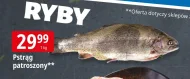 Pstrąg