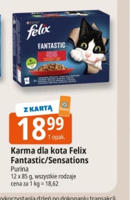 Karma dla kota Felix