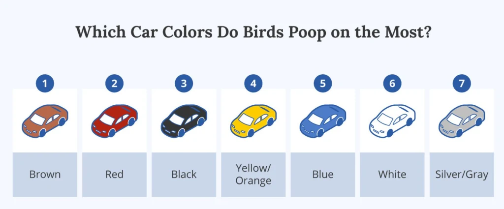 Grafika przedstawia zestawienie kolorów samochodów uporządkowanych według częstotliwości, z jaką ptaki pozostawiają na nich odchody, od najczęściej do najrzadziej, z ilustracjami pojazdów w odpowiednich kolorach oraz podpisami opisującymi kolory.