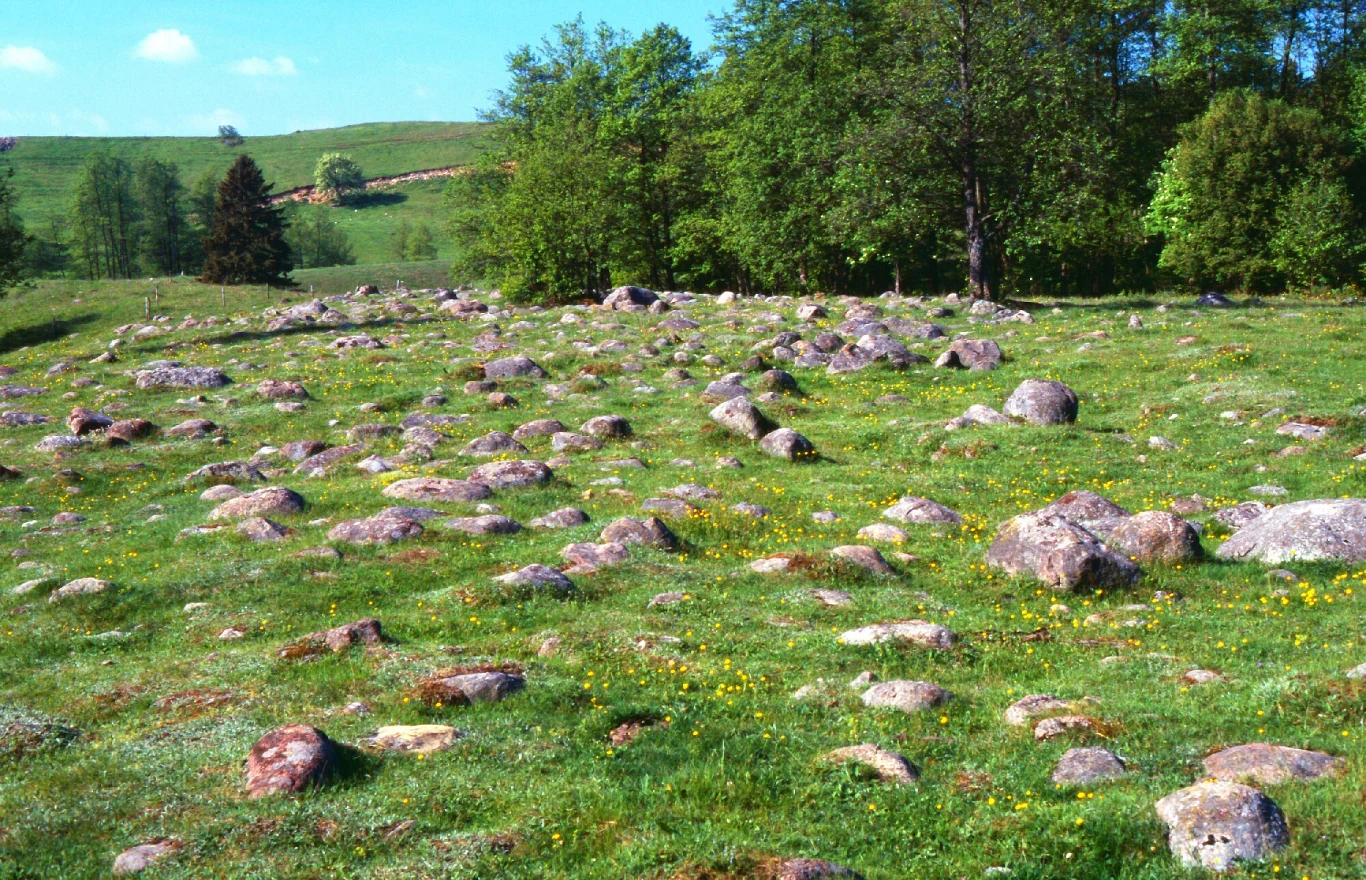 Pamiątka po lodowcach na Suwalszczyźnie — dlaczego warto ją zobaczyć? Pamiątka po lodowcach na Suwalszczyźnie — dlaczego warto ją zobaczyć?