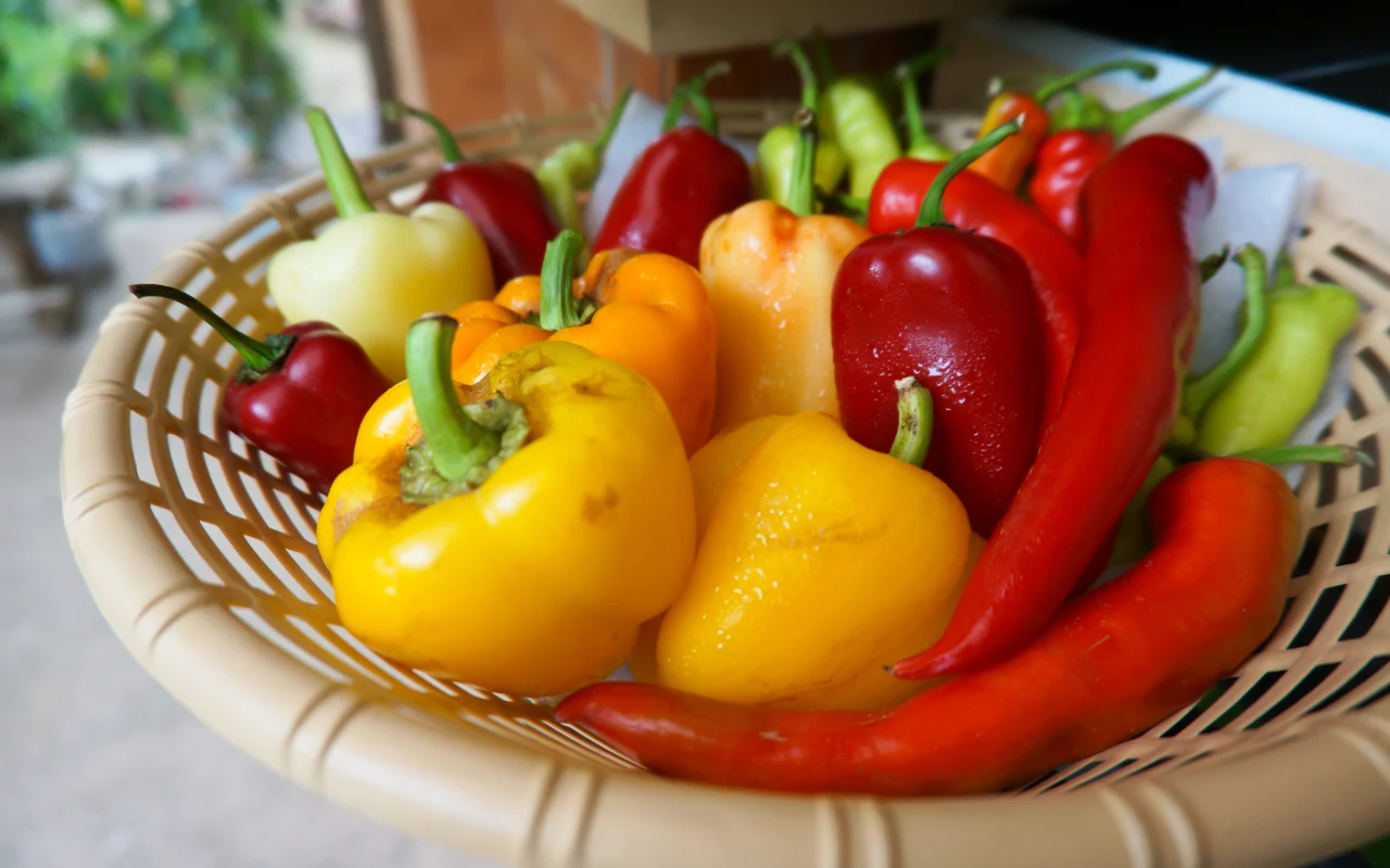 Przechowywanie owoców i warzyw ma ogromne znaczenie. Te bogate w witaminę C powinny leżeć z dala od promieni słonecznych