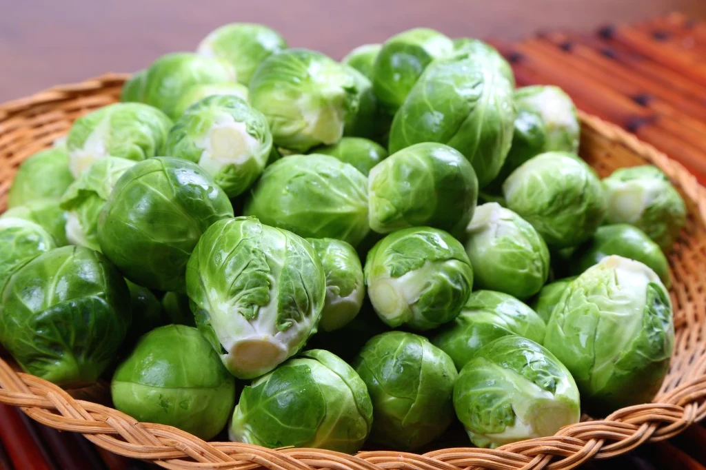 Brukselka, choć niepozorna, ma w sobie moc witamin Kosz pełen świeżych, zielonych brukselek leżących obok siebie na jasnym tle, tworząc apetyczną kompozycję warzywną.