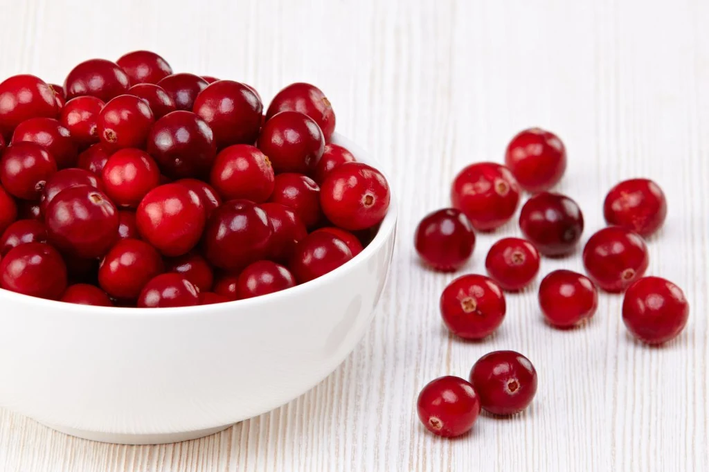 Żurawina słynie ze swojego dobroczynnego działania na drogi moczowe Miseczka wypełniona świeżymi, czerwonymi żurawinami ustawiona na jasnym, drewnianym blacie, po prawej stronie rozsypane pojedyncze owoce.