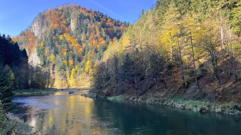W czasie przejażdżki towarzyszą nam spływające Dunajcem tratwy z flisakami i turystami Rzeka płynąca przez malowniczą dolinę otoczoną gęstym lasem w jesiennych barwach, w tle wyraźnie zarysowane strome zbocze góry, niebo czyste i błękitne, a światło słoneczne podkreśla kolorowe liście drzew.
