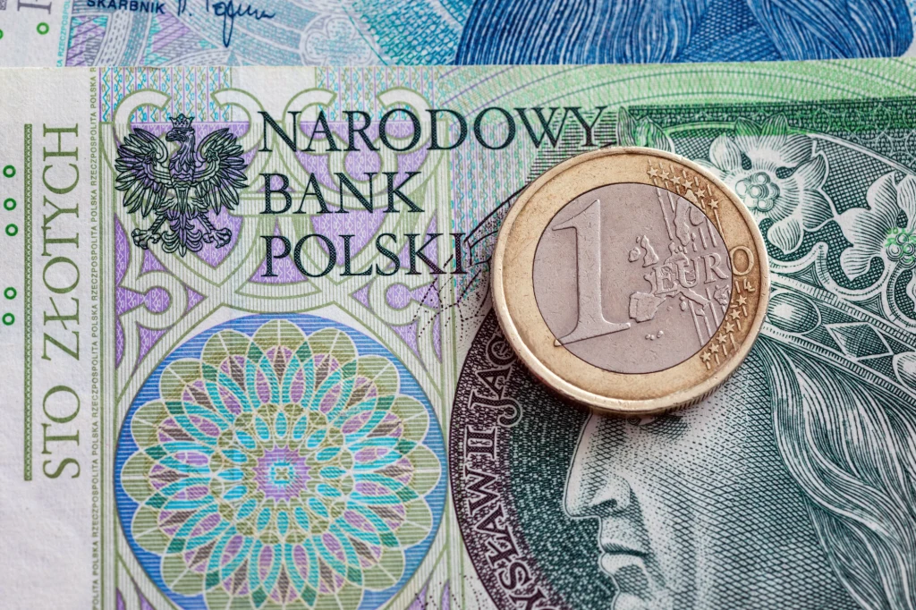 Złoty będzie tracić do euro w przyszłym roku - przewidują ekonomiści mBanku