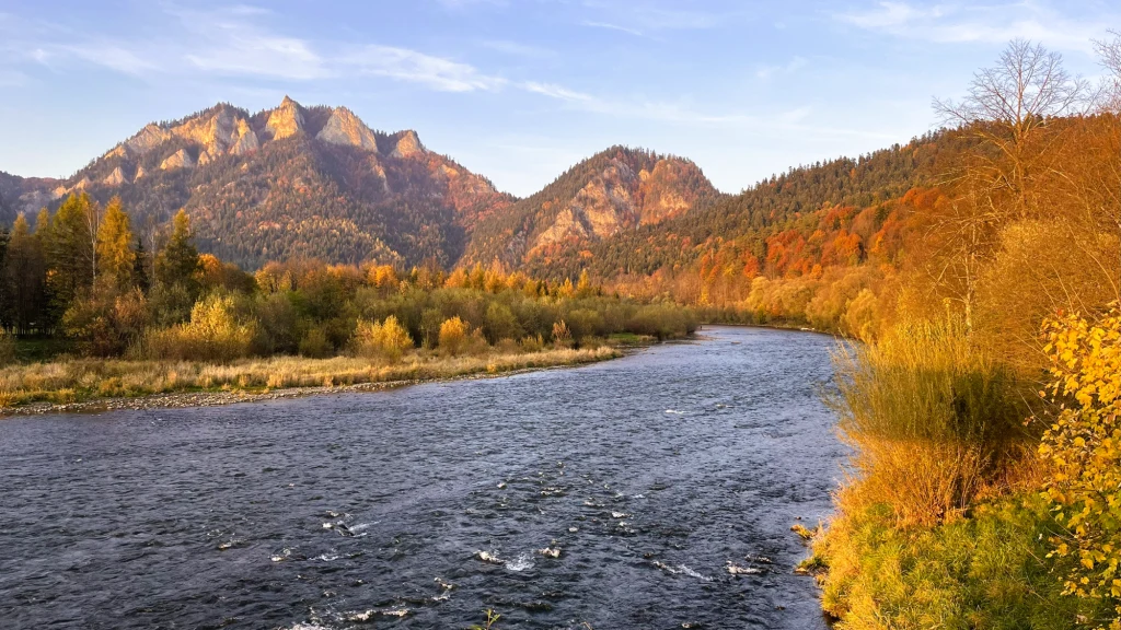 Trzy Korony jeszcze piękniej wyglądają jesienią w promieniach zachodzącego słońca Górska rzeka przepływająca przez szeroką dolinę otoczoną kolorowymi lasami mieszanymi, w tle wyłaniają się charakterystyczne, skaliste szczyty oświetlone ciepłym światłem popołudniowego słońca.