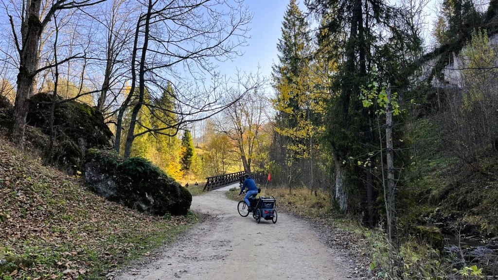 W Rezerwacie Biała Woda można zobaczyć bardziej "dzikie" oblicze Pienin. Ścieżka wiedzie wśród wapiennych skał i drewnianych mostków osoba jadąca rowerem z przyczepką na leśnej ścieżce, otoczona drzewami w jesiennych kolorach, w tle drewniany mostek i strome skały