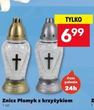 Znicz