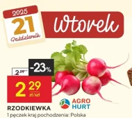 Редиска