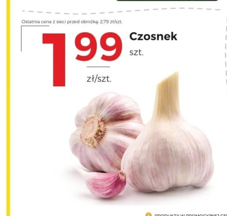 Czosnek