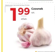Czosnek