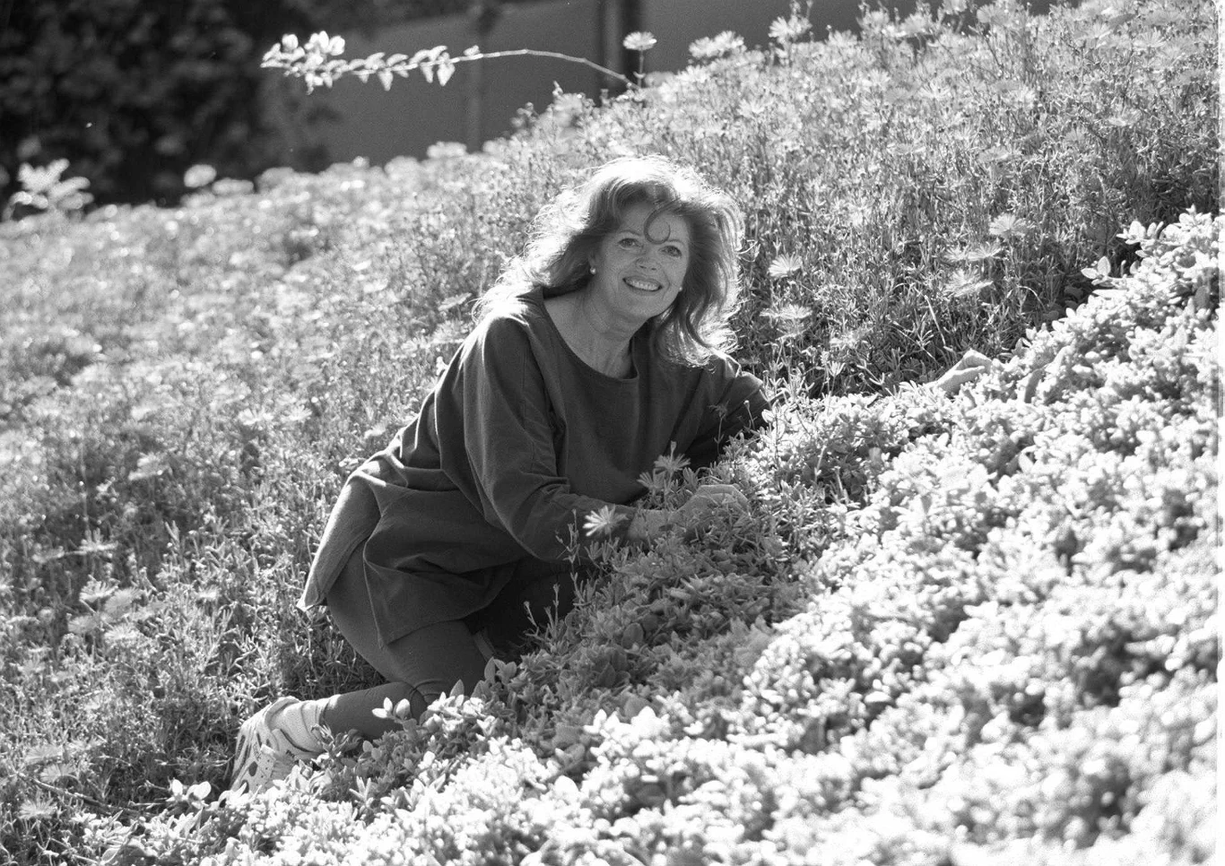 Samantha Eggar Samantha Eggar