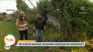 Jesienne porządki w ogrodzie — przytnij, posadź i przygotuj się na wiosenny wybuch kolorów!