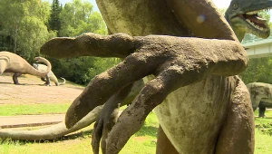 Dinozaury na Śląsku. Można je oglądać ze szklanej kładki nad przepaścią