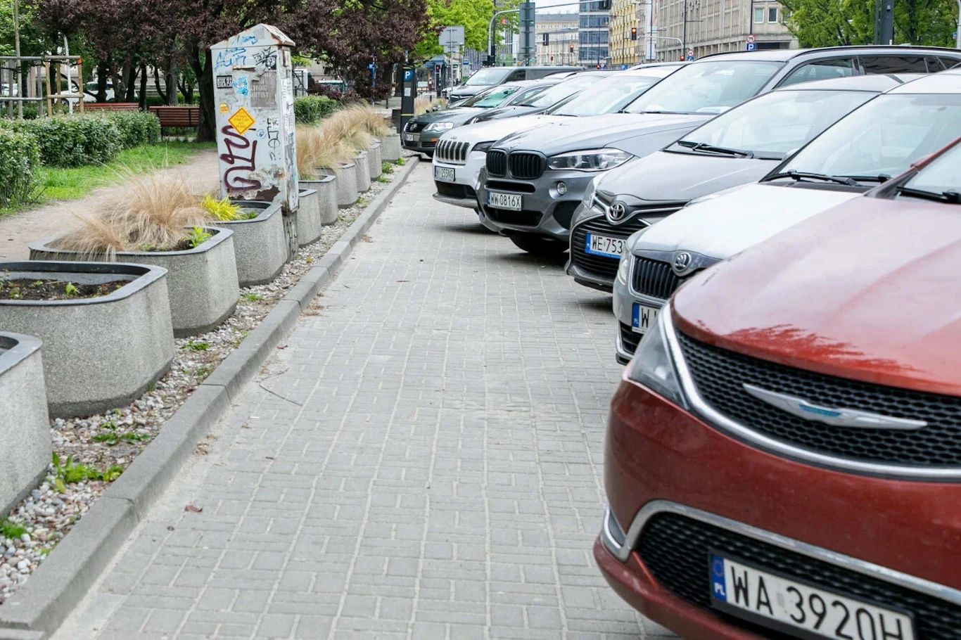 Parkowanie na chodniku wymaga pozostawienia 1,5 m przestrzeni dla pieszych. Ale to nie wszystko Szereg zaparkowanych samochodów ustawionych wzdłuż chodnika, w tle widać donice z roślinami, zarośla oraz fragment miejskiej infrastruktury, na jednym z betonowych słupków widoczne są napisy graffiti.