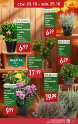 Do 80% taniej na start! - Aldi