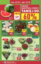 Do 80% taniej na start! - Aldi