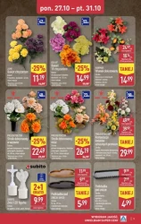 Jesienna moda! - Aldi