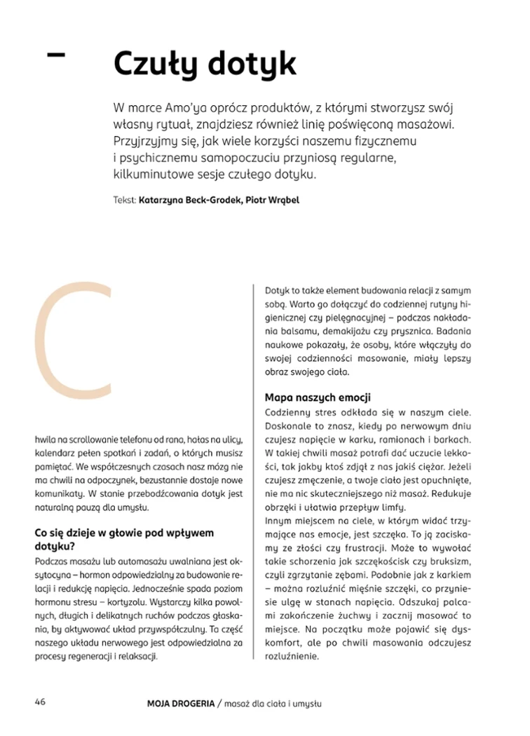 leaflet page preview image