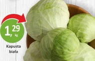 Kapusta biała