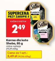 Karma dla kota