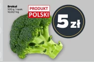 Brokuł Polski