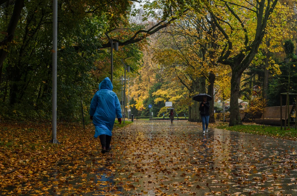 Jaka pogoda będzie w najbliższych dniach? Jaka pogoda będzie w najbliższych dniach?