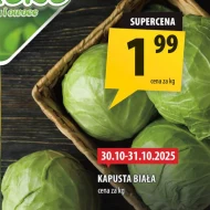 Kapusta biała