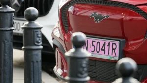 Różowe tablice rejestracyjne lepsze od białych? Wkrótce nowe przepisy