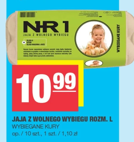 Jaja Wybiegane Kury