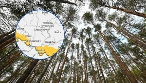 W prognozach zagrożeń wyróżnia się jeden dzień. Chodzi o wichury