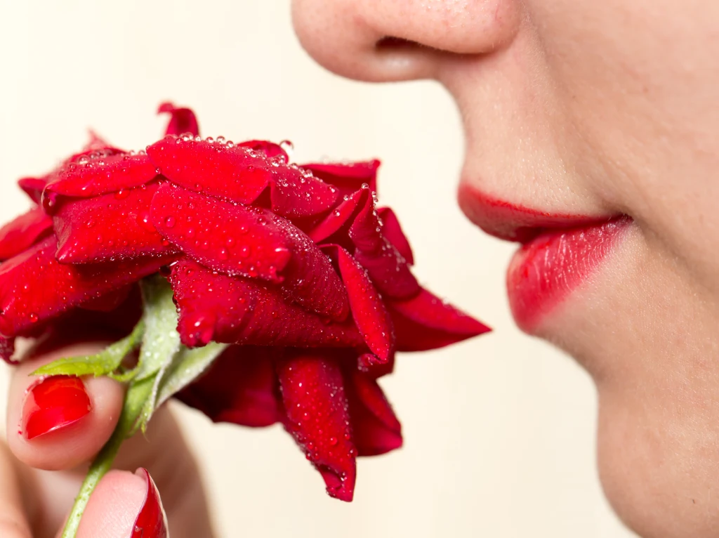 Dlaczego jedni czują więcej? Poznaj tajemnice nadwrażliwości węchowej Czerwony świeży kwiat róży trzymany przy ustach kobiety, której paznokcie i usta są pomalowane na czerwono; widoczne kropelki wody na płatkach