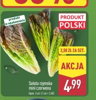 Салат ромен Polski