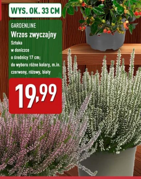Wrzos Gardenline