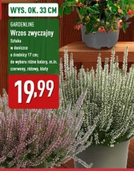 Wrzos Gardenline