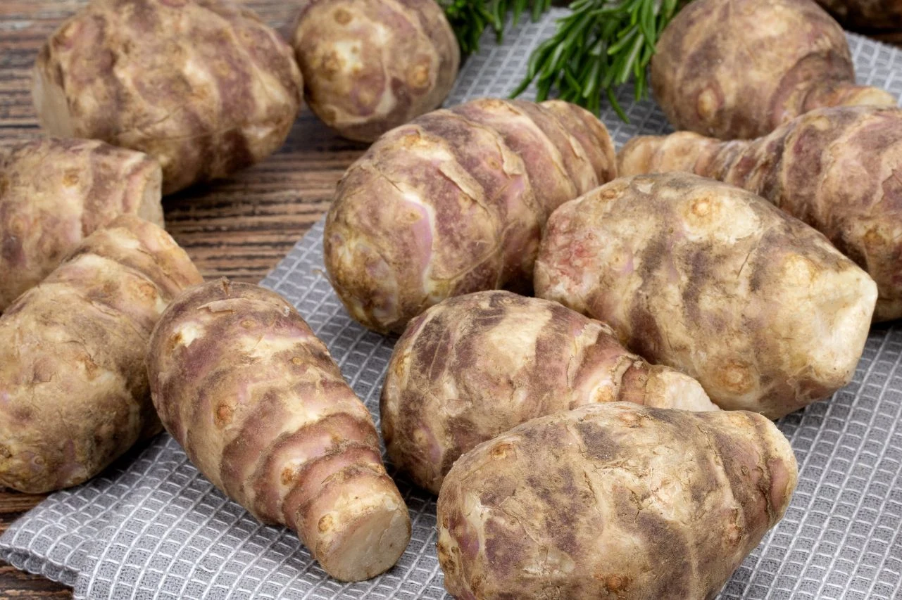 Topinambur z wyglądu przypomina najbardziej korzenie imbiru