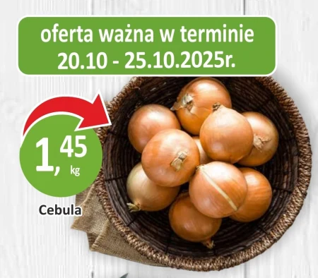 Cebula