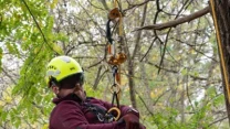 Człowiek ubrany w specjalistyczny kombinezon i kask z goglami wykonuje prace na wysokości wśród drzew, zabezpieczony linami i sprzętem wspinaczkowym w otoczeniu zielonych i żółtych liści.